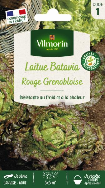 Potagères - Laitue Rouge Grenobloise - PACKAGING_RECTO